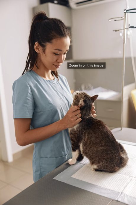 Pippa Mulder van der Berg